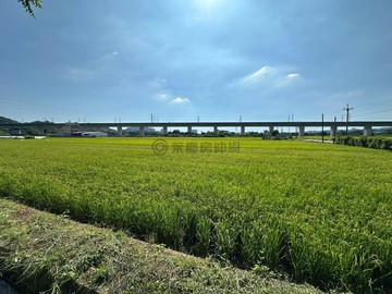 近竹北｜雙面臨路 | 有水電｜新竹縣新埔鎮義民段