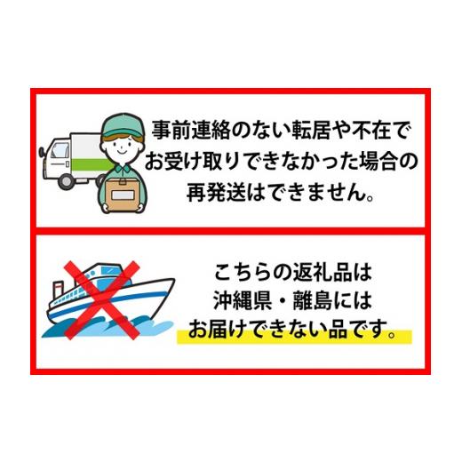 ふるさと納税 山形県 河北町 2024年3月中旬発送 つや姫20kg（5kg×4袋）山形県産