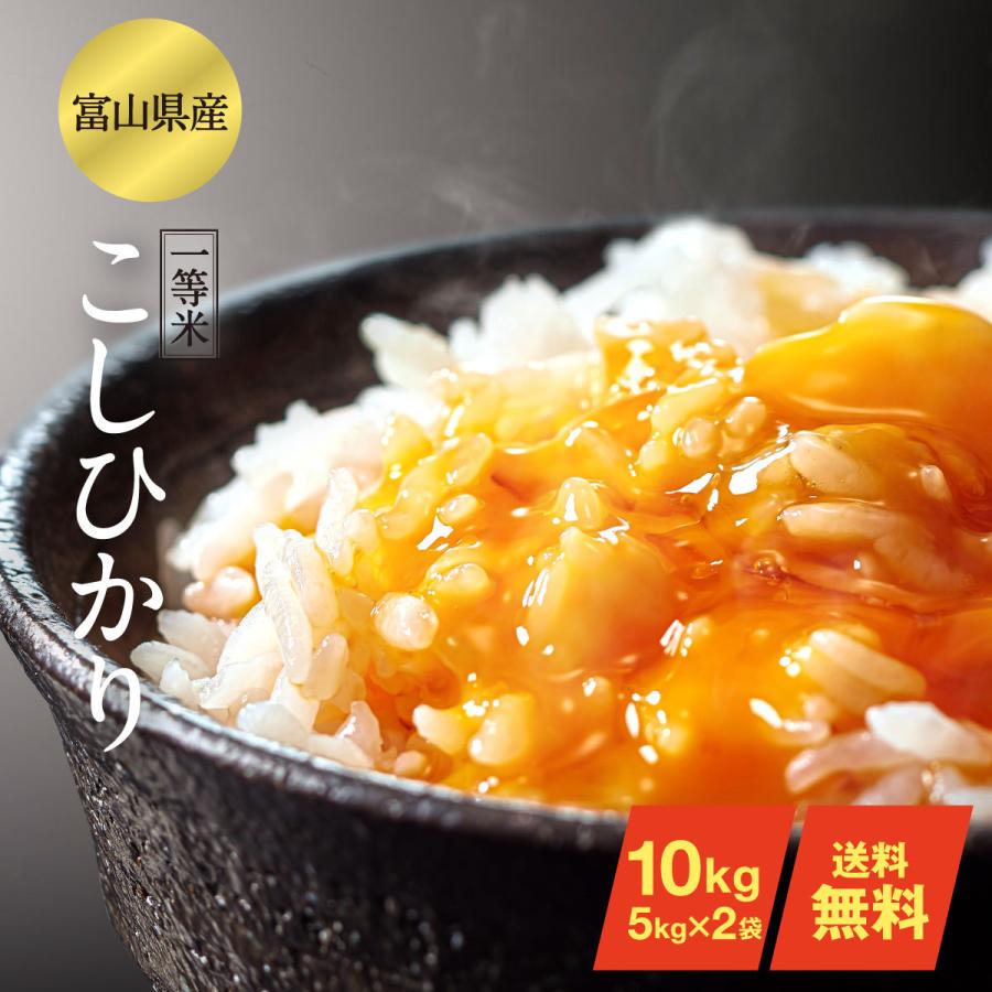 無洗米 10kg コシヒカリ 富山県産 令和5年産 こしひかり 送料無料 玄米 白米