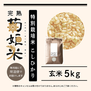 完熟菊姫米　特別栽培米コシヒカリ　玄米5kg