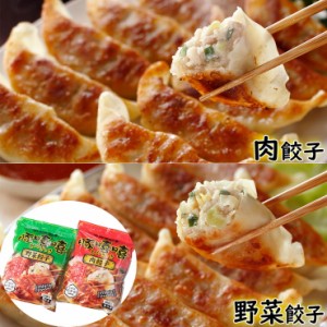 送料無料 宇都宮餃子 とんきっき 肉餃子 野菜餃子 各30個入り 計60個 栃木県    中華料理 餃子 ぎょうざ 惣菜 お取り寄せ グルメ ギフト