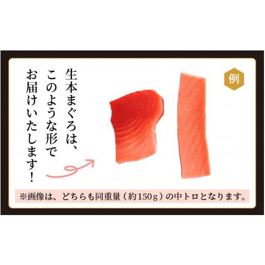 ふるさと納税 福井県 越前町 [e04-b029] 「生本まぐろ」極上霜降り 大トロ 約300g（2〜3柵）まぐろの王様！！【本まぐろ 鮪 ホンマグロ 大とろ 冷蔵 お取り寄…