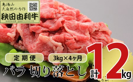 《定期便》4ヶ月連続 秋田由利牛 バラ切り落とし 3kg（1kg×3パック）