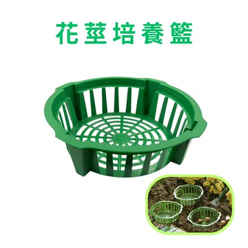 GS MALL 台灣製造 花莖培養籃 球莖種植籃 球根花卉籃 花球莖籃 洋蔥植物籃 花球莖碗 植物碗 繁殖托盤