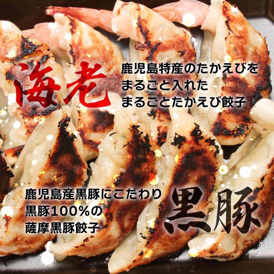 [餃子の照照] 餃子 まるごとたか海老餃子と野菜たっぷり黒豚餃子セット  海老餃子8個入り×2 黒豚餃子8個入り×2 鹿児島 餃子 冷凍餃子 黒豚 えび