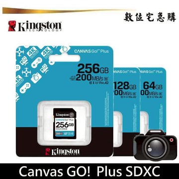 Kingstone 金士頓 SDG4 記憶卡 64G 128G 256G 高速 SDXC 4K U3 V30 A2