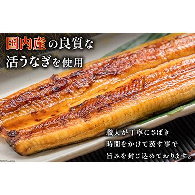 ふるさと納税 吉田町 国産うなぎ蒲焼3串