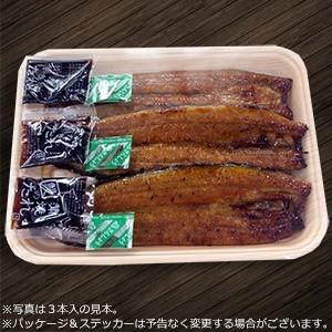 うなぎ蒲焼き 4本セット　鰻