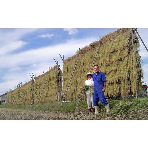 ふるさと納税 新潟県 新潟市 上野農場 自然栽培コシヒカリ精米3kg