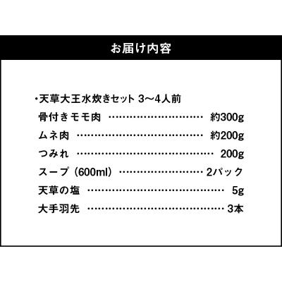 ふるさと納税 天草市 天草大王水炊きセット 3〜4人前_S081-007A