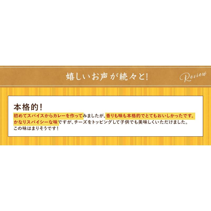 カレー　スパイス　お得　セット　20種　詰合せ（30皿分）　俺のカレー