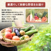 旬の味覚セット 季節のフルーツ・熊本の新鮮お野菜(6～10品目) (詰め合わせ)