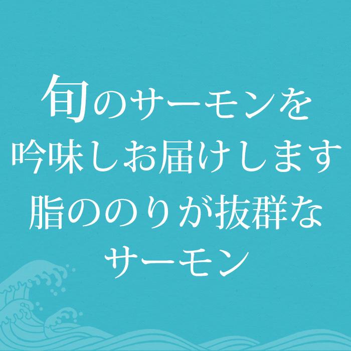 サーモン 鮭屋のトラウトサーモンフィレ 650gup 1枚