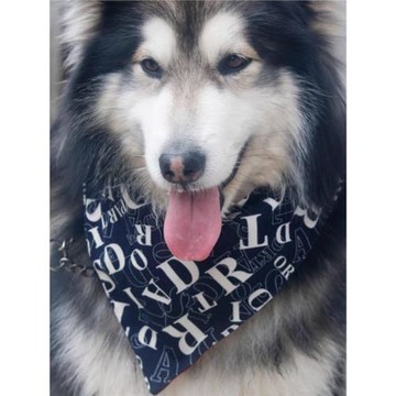 純棉口水圍巾金毛邊牧防水圍脖大狗吃飯兜圍嘴寵物圍兜大口水柴犬