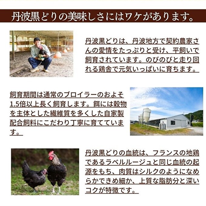 地鶏 丹波 黒どり 手羽元 4kg 鶏肉 冷凍 鍋 丹波山本 ヘルシー ボリューム 鳥 鶏おでん スープ