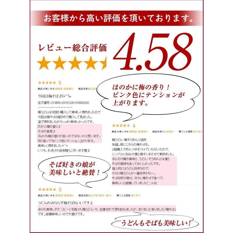 ふみこ農園 紀州南高梅入り 梅そば 500g 梅香るさっぱりとしたざるそば（ご家庭用 5人前 めんつゆ付）