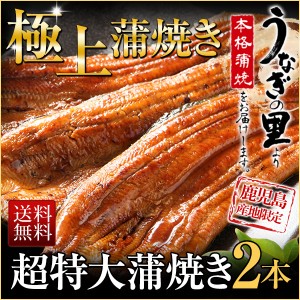 父の日 プレゼント ギフト うなぎ 食べ物 グルメ 蒲焼き 国内産 送料無料 超特大蒲焼き 2本セット 鹿児島産 海鮮  タレ山椒 クール