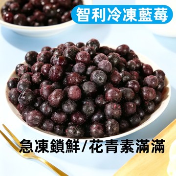 智利冷凍栽種藍莓1000g SGS檢驗合格 冷凍藍莓 冷凍蔓越莓 冷凍黑莓 冷凍食品水果 799元冷凍超取免運台灣現貨