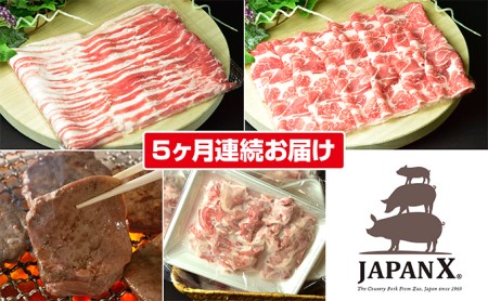 定期便 5ヶ月 JAPAN X 豚肉 ＆ 特選 厚切り 牛タン バラエティ セット 1.7kg バラ 肩ロース 小間 牛たん