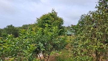 住商-TOP內湖店三芝景觀農地(專任)｜新北市三芝區橫山