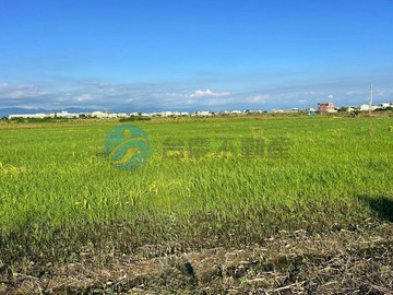 獨家 近下營市區6.12分三角窗便宜農地｜台南市下營區大屯寮