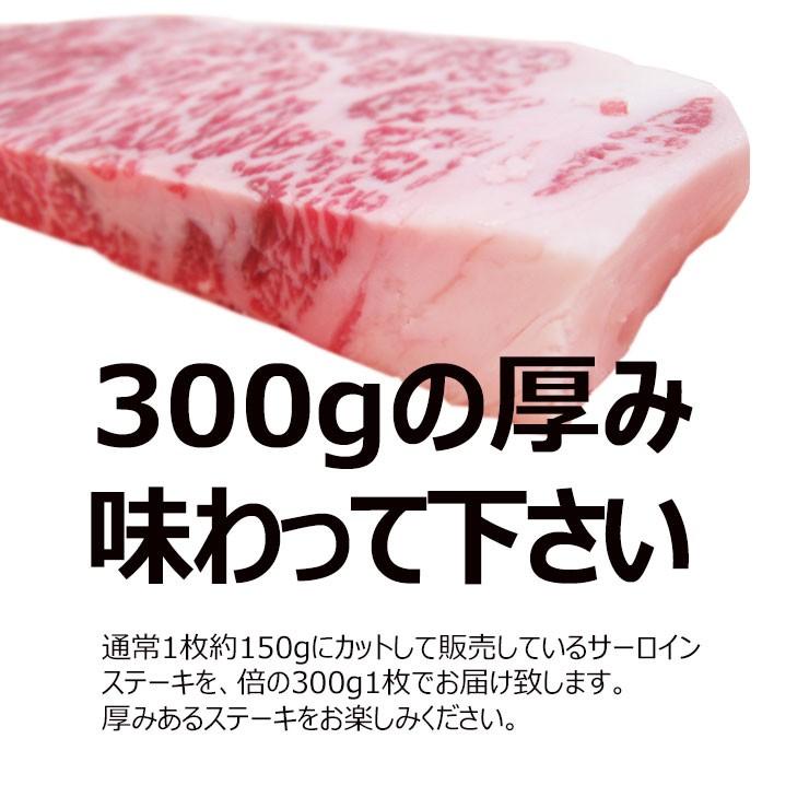 肉 牛肉 ステーキ 飛騨牛 サーロイン ステーキ 300ｇ×1枚 黒毛和牛 お祝 ディナー 特別な日 おもてなし