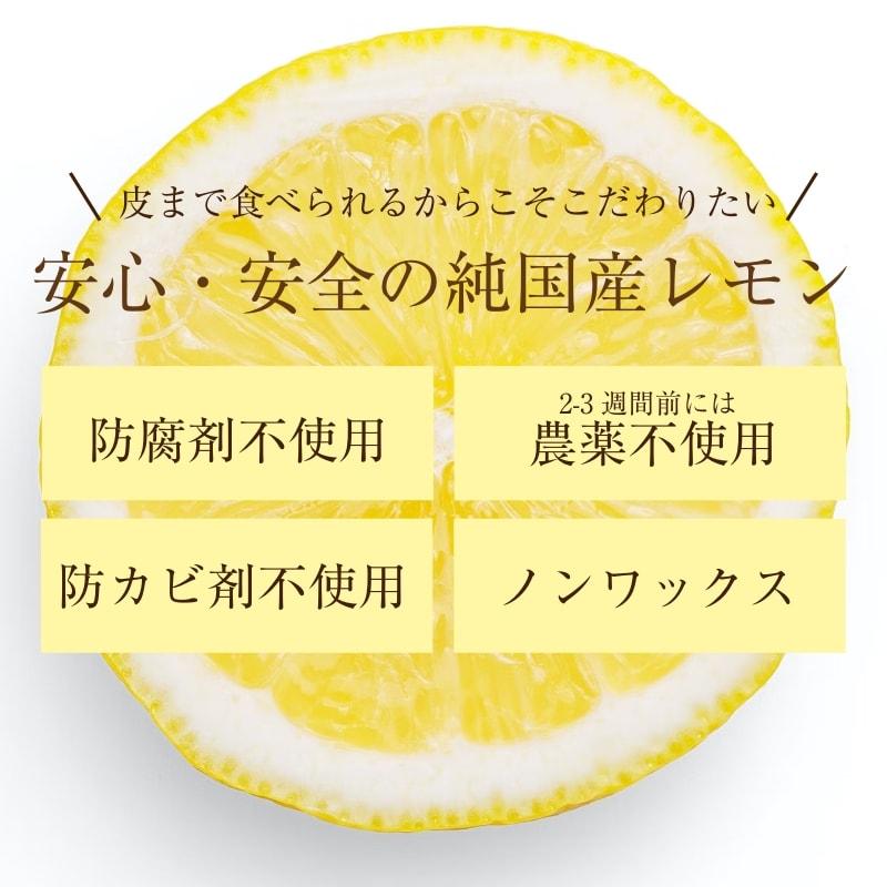 レモン 3kg 国産 愛媛産 送料無料 産地直送 柑橘 フルーツ 果物 防腐剤 防カビ剤 不使用 ノンワックス