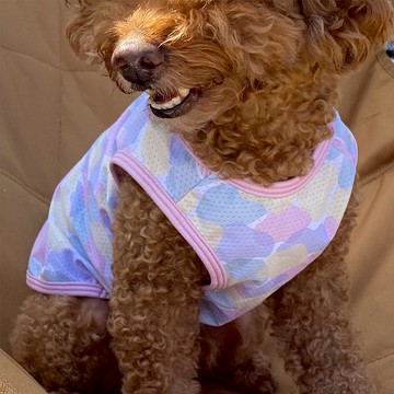 時毛抗UV涼感衣_早安!_(S-6L,FB)/有效涼感/UPF50