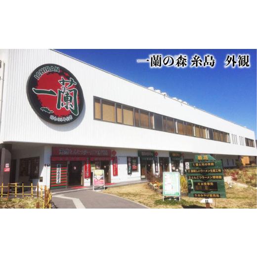 ふるさと納税 福岡県 糸島市 一蘭 ラーメン 博多 細麺 小分け セット 計15食 5食 × 1セット ＋ 2食 × 5セット 《糸島》  [AMB011] とん…