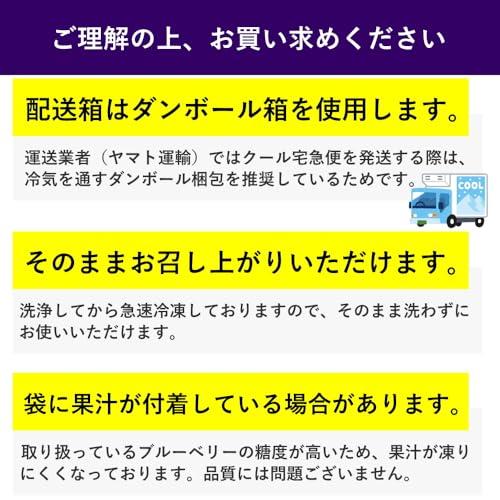 冷凍ブルーベリー 2kg 山形産 完熟 ブルーベリー 冷凍 フルーツ お菓子作り 様々なレシピで大活躍