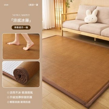 藤蓆地毯200*300cm 夏季涼席地毯 客廳加厚地毯 榻榻米地墊 臥室爬墊 好打理地毯