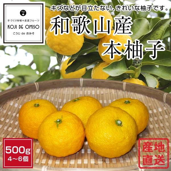 産地直送！ 和歌山産 本柚子（ゆず） 500g