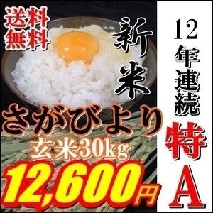 令和5年産絶品特A★玄米30kg九州佐賀県一等米さがびより特Ａ精米可