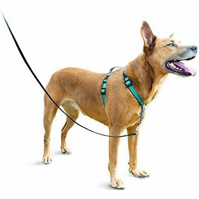 Petsafe 3 In 1 犬 ハーネス 中型犬 引っ張り防止 調整簡単 抜けない 耐久性が高い 夜間反射 車の中で安全 ティール グリー 通販 Lineポイント最大0 5 Get Lineショッピング
