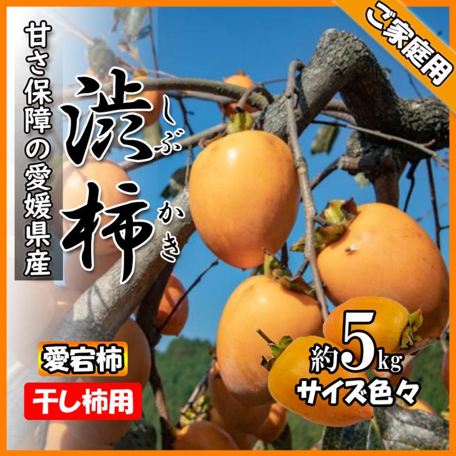 渋柿 かき 愛宕柿 干し柿用 愛媛県産 ご家庭用 5ｋｇ 送料無料