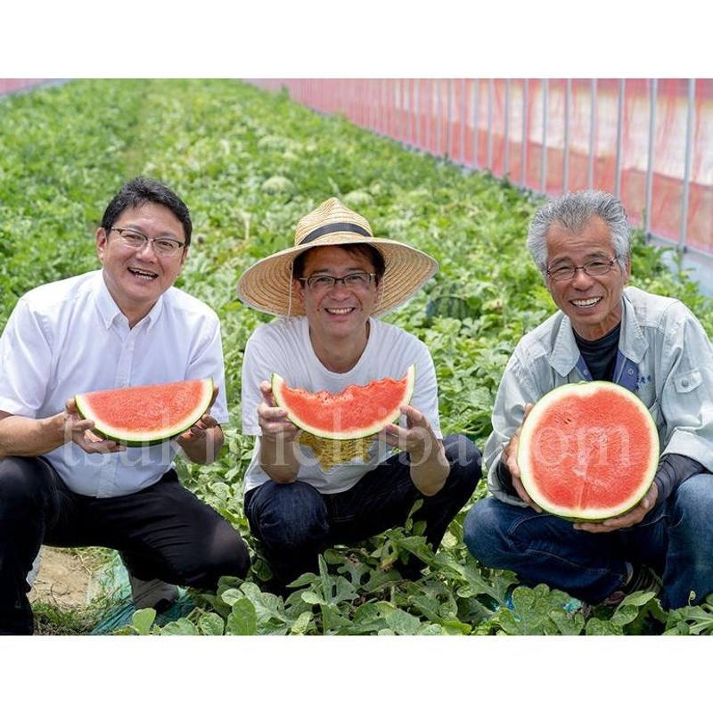 熊本県産種無し大玉スイカひときわ