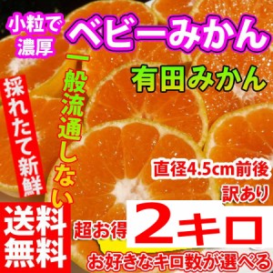 激レア！ ベビーみかん小粒直径4.5cm前後！　小粒みかん 和歌山みかん　有田みかん　2kg