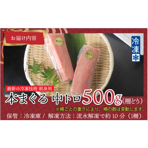 ふるさと納税 福井県 鯖江市 本マグロ 中トロ 500g（柵どり）[C-11006]