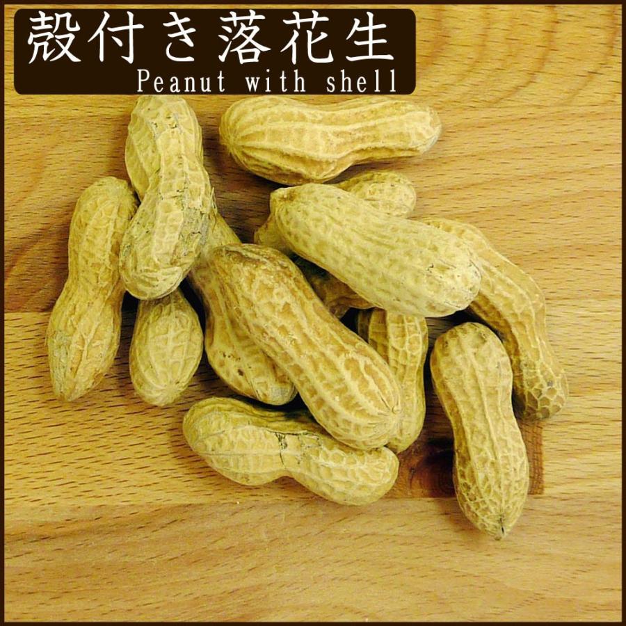 殻付落花生500g