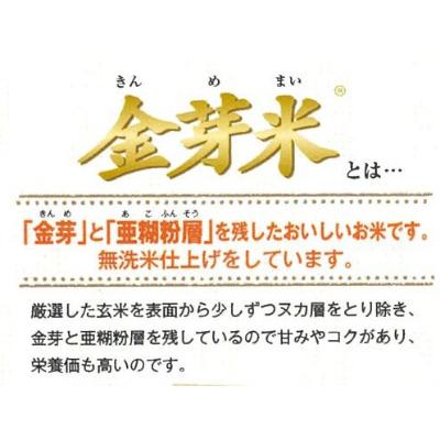 ふるさと納税 安来市 2024年1月発送開始『定期便』BG無洗米　金芽米にこまる 5kg全6回