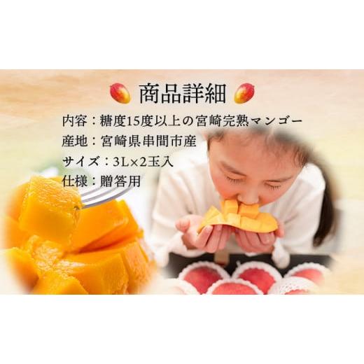 ふるさと納税 宮崎県 串間市 AE-CD3 糖度15度以上の宮崎完熟マンゴー(3L×2玉入・贈答用) ＜ギフト用＞