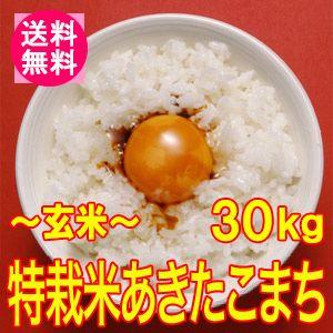 送料無料(北海道・九州・沖縄除く)令和5年産 新米 こだわり！特別栽培米秋田県仙北産あきたこまち(玄米)30kg