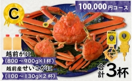 Ｃ　越前がに(越前産ズワイガニ・オス)800～900ｇ×１杯   越前産せいこがに(越前産ズワイガニ・メス)100～130ｇ×２杯　合計3個 [J-096011_03]