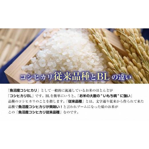 ふるさと納税 新潟県 南魚沼市 ES518 南魚沼産 コシヒカリ 2kg ×3袋 計6kg いなほ新潟 農家のこだわり 新潟県 南魚沼市 塩沢地区 しおざわ お…