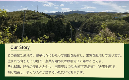 「古都華」＆「季節のいちご」食べ比べセット（2パックずつ） 計4パック