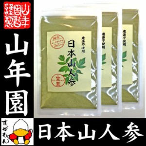 日本山人参 粉末 ヒュウガトウキ 50g×3袋セット パウダー 宮崎県産ノンカフェイン 日本山人参茶 送料無料 お茶 お