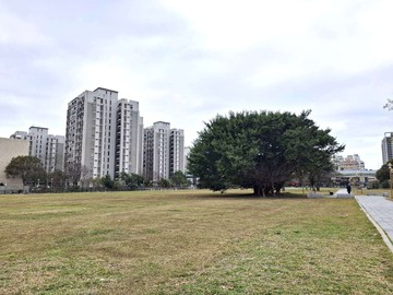 【科園秀玲】森林首席~F11+子母車位~價錢好談｜新竹市北區武陵路