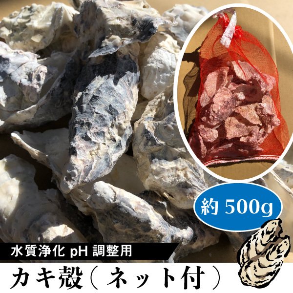 広島県産 牡蠣殻 4〜8mm 80g×5袋 アクアリウム 水質調整 - フィルター ...