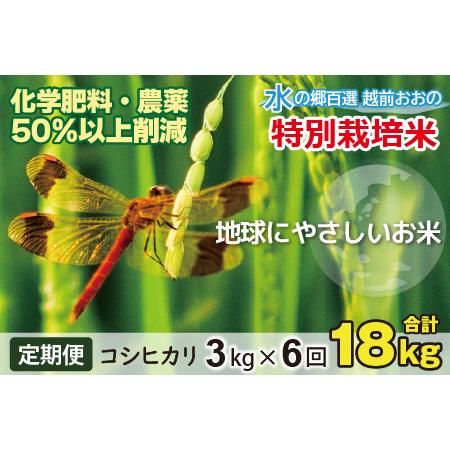 ふるさと納税 こしひかり 3kg × 6回 計 18kg減農薬・減化学肥料「特別栽培米」−地球にやさしい.. 福井県大野市