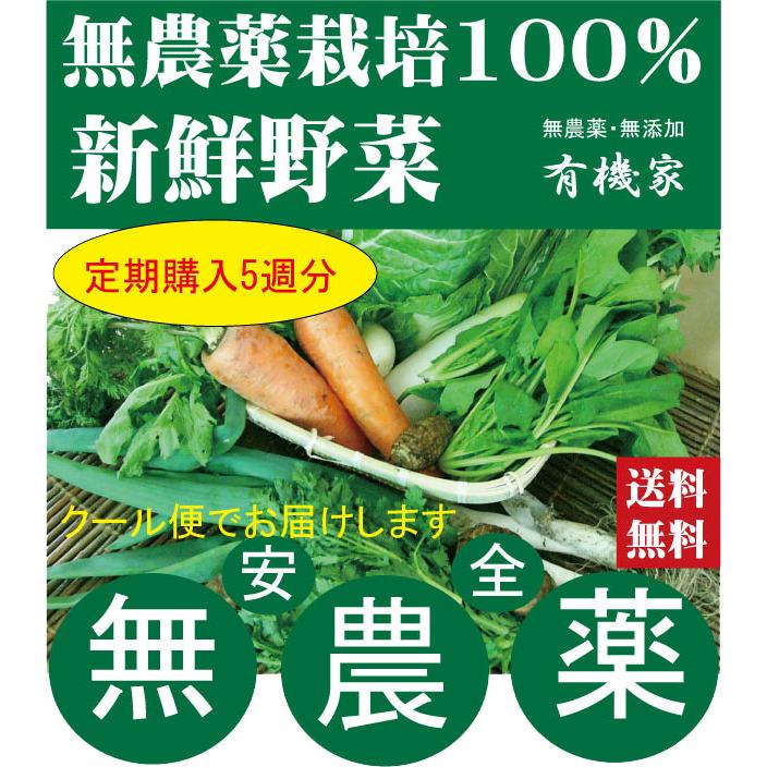 定期購入毎週お届け・無農薬100％・旬の新鮮野菜セット（約７品目）×５週分（ ・月、金曜日発送）　 　無農薬野菜